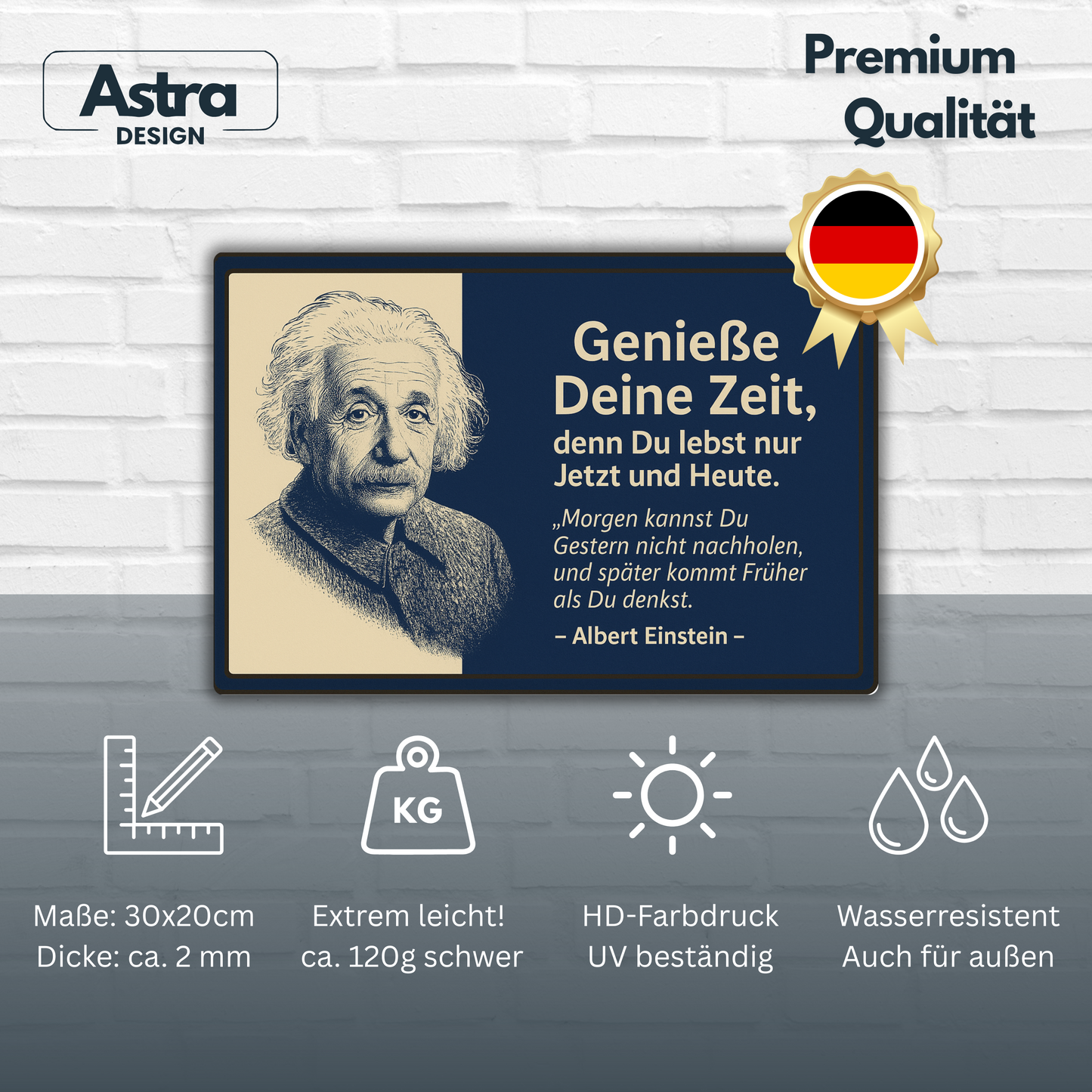 Albert Einstein Genieße deine Zeit Blechschild