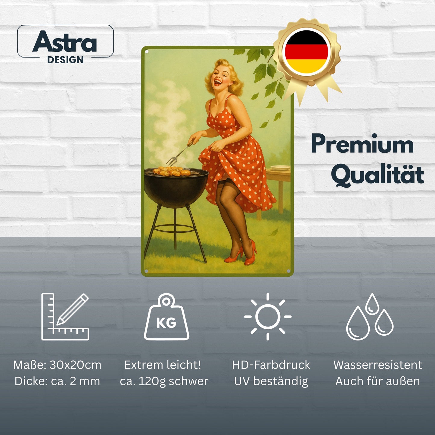 Retro Frau am Grill Blechschild