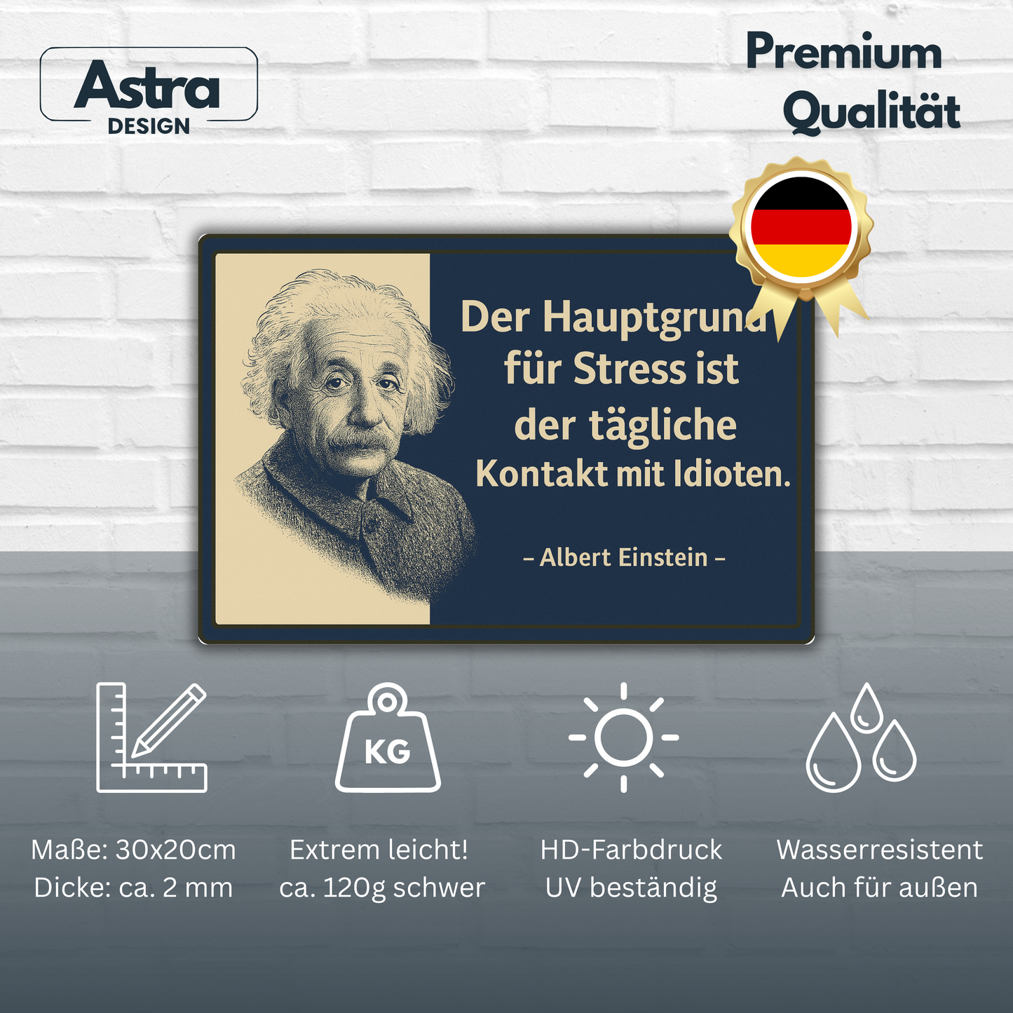 Stress Albert Einstein Spruch Blechschild
