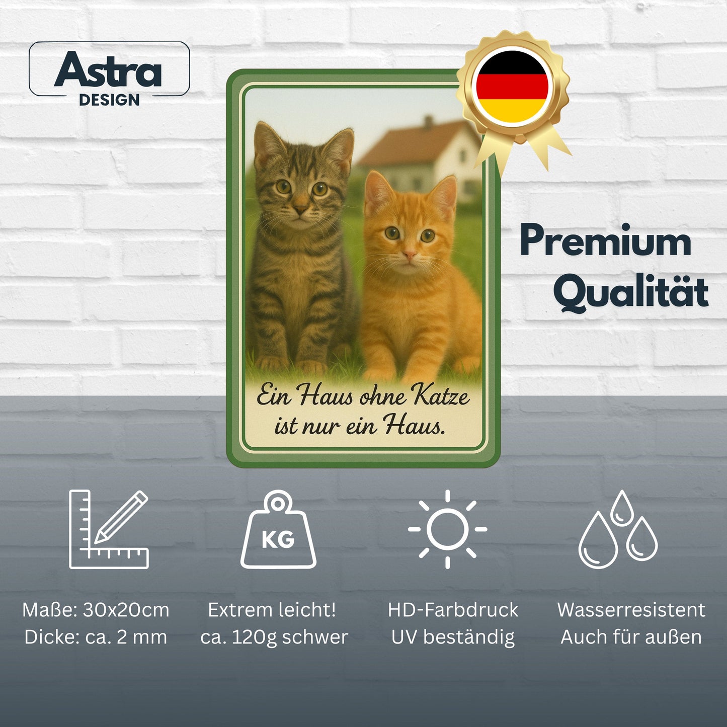 Ein Haus ohne Katzen Blechschild