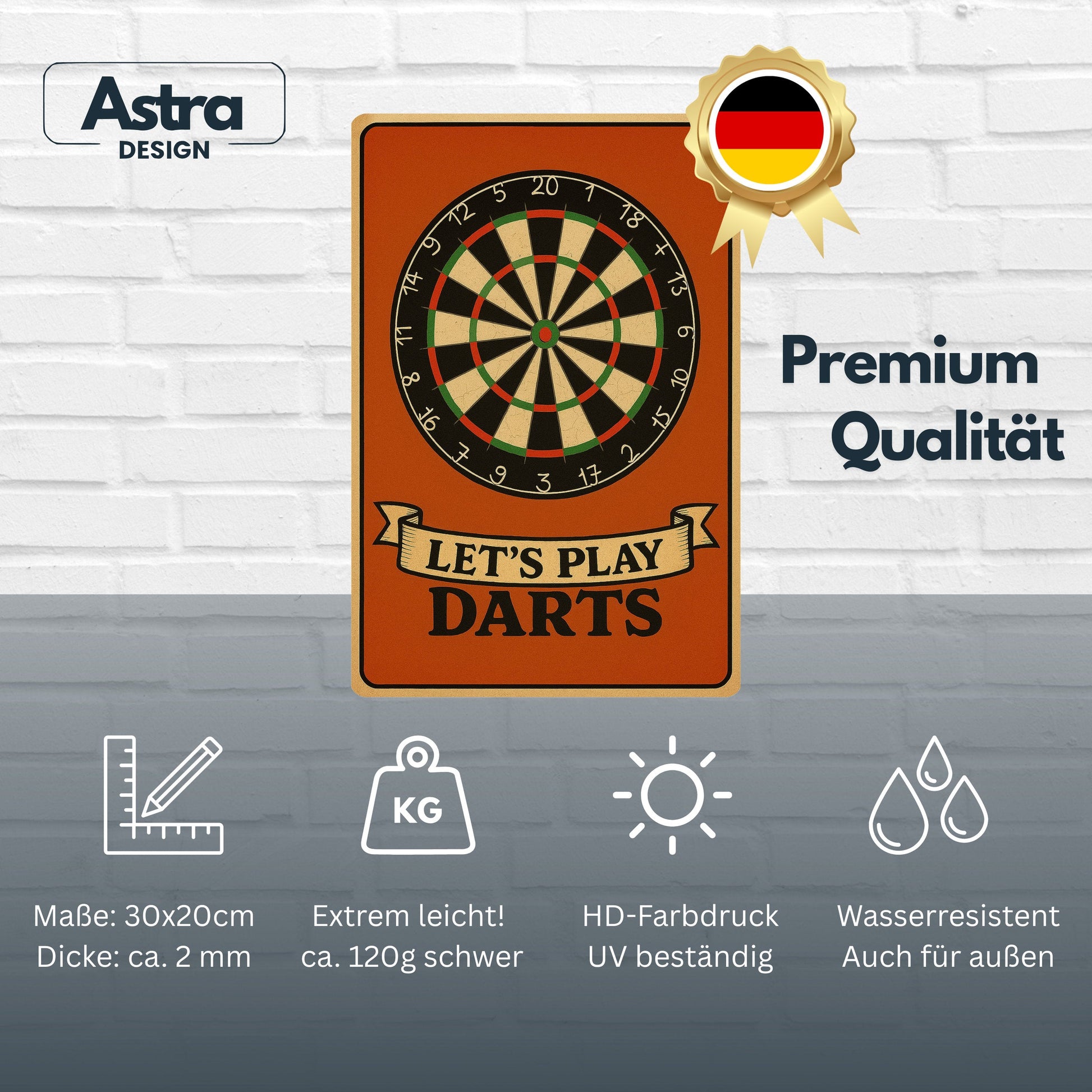 Let us Play Darts Blechschild
