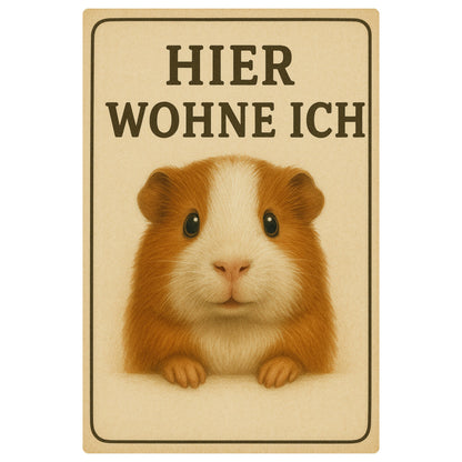 Meerschweinchen hier wohne Blechschild