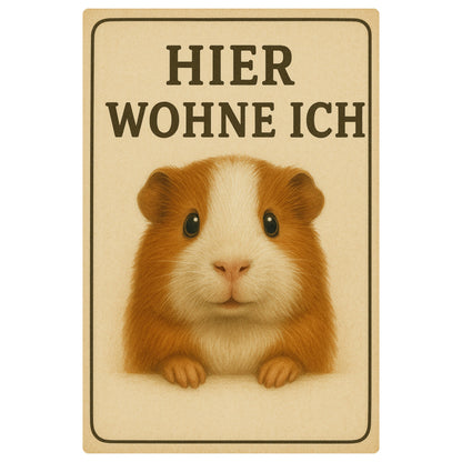Meerschweinchen hier wohne Blechschild
