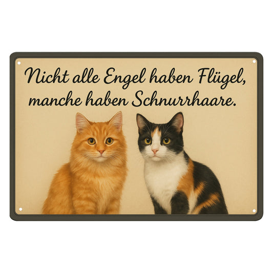 Nicht alle Engel Katzen Blechschild