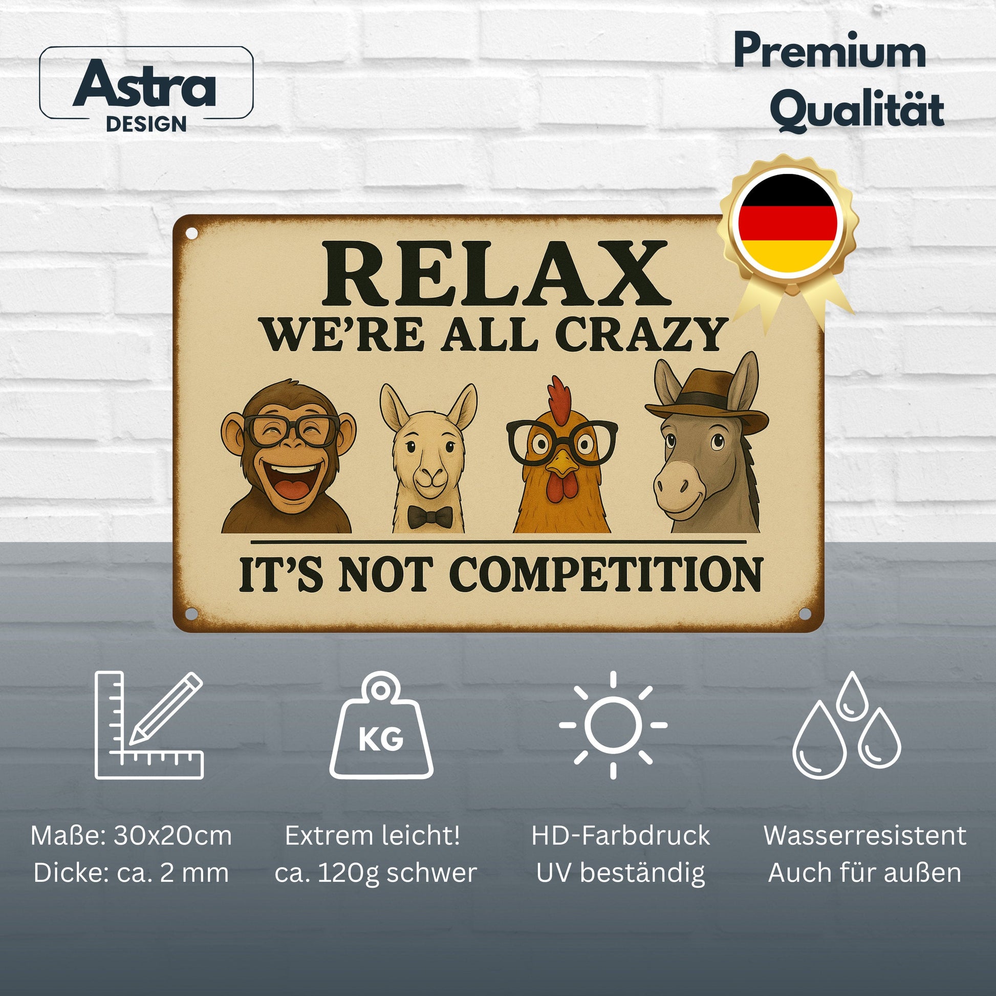 Relax we are all crazy Blechschild